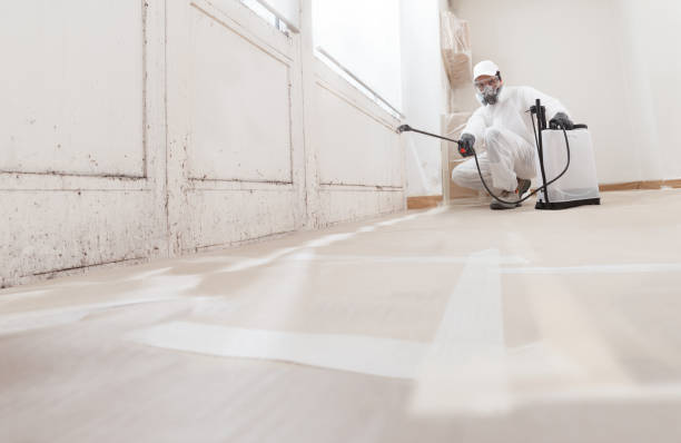 24/7 Emergency Mold Remediation experts in Mountainside, NJ